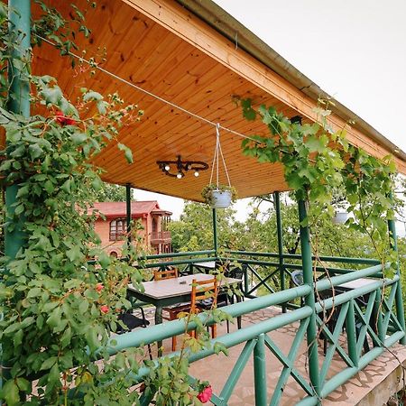 Guest House Evdoshvili St N5 西格纳吉 外观 照片